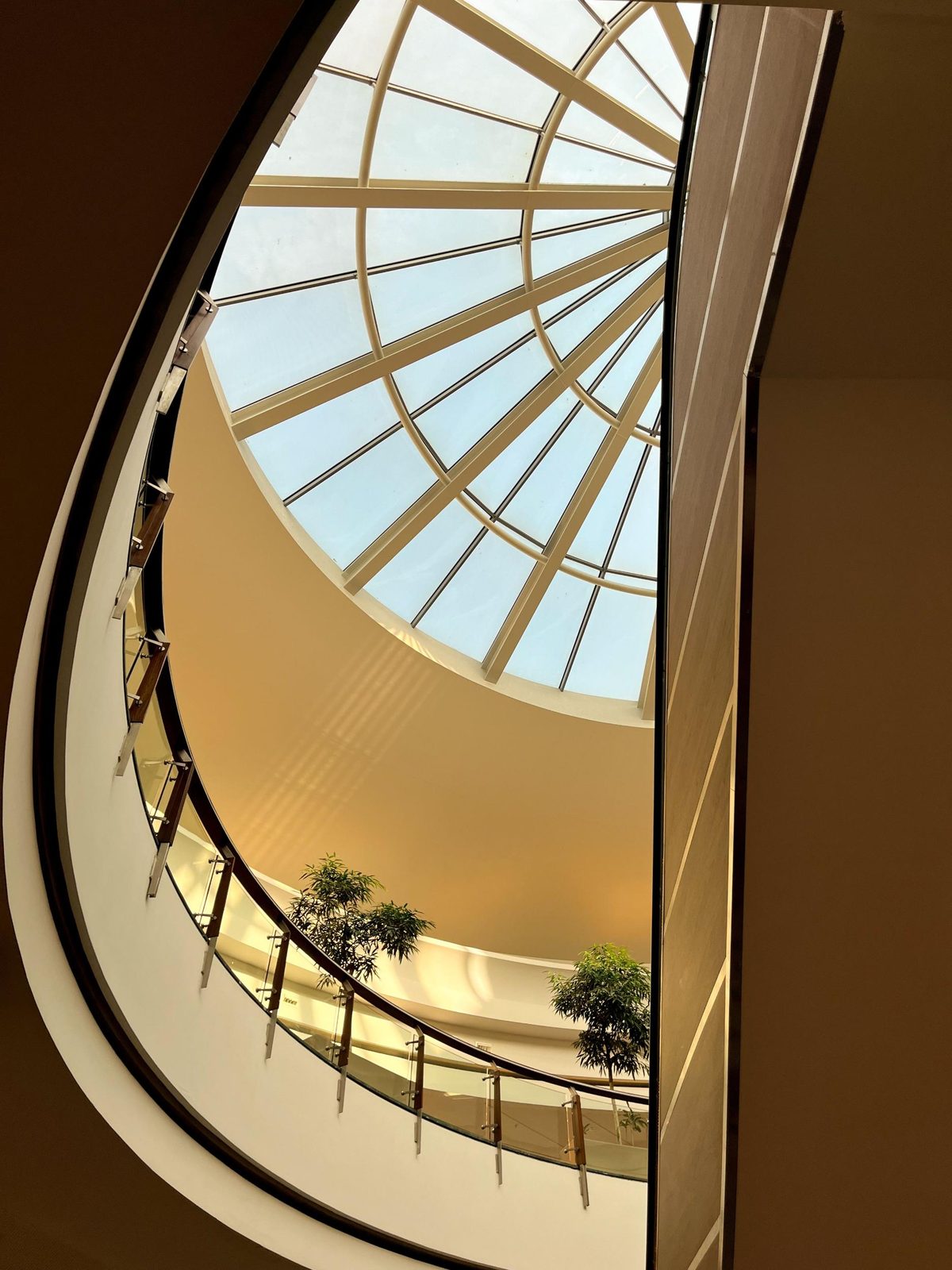 Looking up into the glazed atrium roof of a modern commercial building