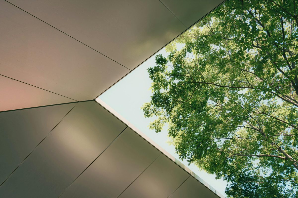 Trees seen through the angular underside of a building canopy