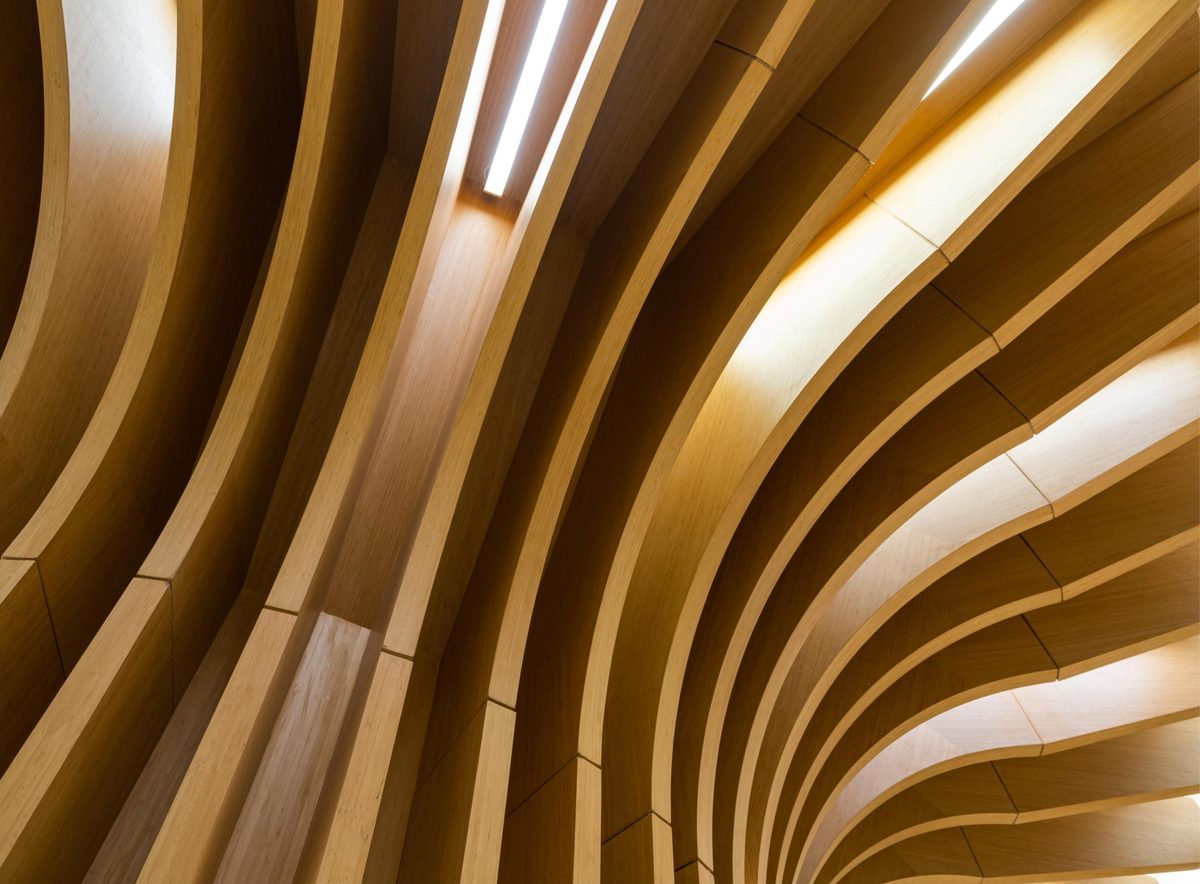 The sweeping timber ceiling structure of a modern building interior